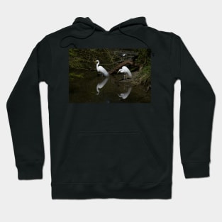 Egret Reflections Hoodie